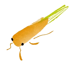 Angela Wong's Portfolio