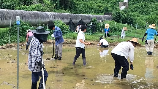 Farming and raising&nbsp;moths